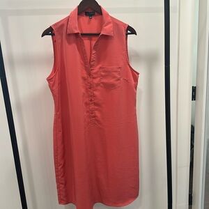 The Limited- Sleeveless Dress.